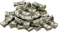 make lots of money when people learn spanish with wetback spanish for gringos